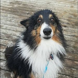 Meet your Posher, Sierra